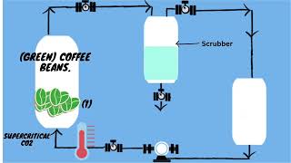 Supercritical Fluid  Breakthrough Junior Challenge 2023 [upl. by Roose]