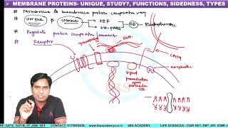 INTEGRAL MEMBRANE PROTEINS [upl. by Thgiled]