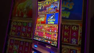 Rhino Charge Wonder 4 Tower slot machine Las Vegas [upl. by Nwatna]