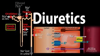 Diuretics  Mechanism of Action of Different Classes of Diuretics Animation [upl. by Oiratno]