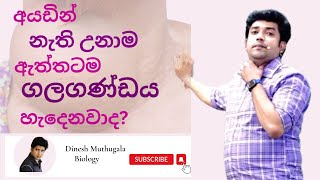 ගලගණ්ඩය හැදෙන්නෙ ඇයි   ගලගණ්ඩය  Goiter Disease  dineshmuthugala  muthugalasir  goiter Ep16 [upl. by Jaine]