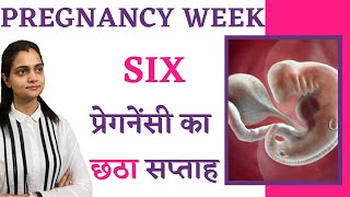 Pregnancy के 6 weeks में क्या होता है क्या करना चाहिए शिशु का विकास क्या खाना चाहिए  Hindi Video [upl. by Nyledaj]