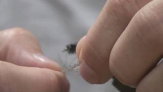 Fly Tying How To Isonychia Nymph [upl. by Savage38]