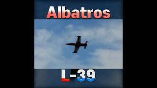 Landing L39 Albatros Freewing 80mm EDF [upl. by Ninehc]