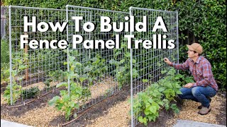 How to Build a Fence Panel Trellis  Cattle Panel Hog Wire etc [upl. by Reider]