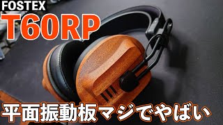 【レビュー】ついに平面駆動型ドライバーデビュー音質に大感激 [upl. by Ikiv982]