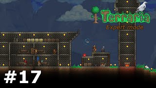 Meteorite  Terraria Expert Mode Playthrough  Ep 17 [upl. by Guibert]