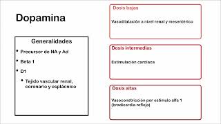 Agonistas Alfa y Beta Adrenérgicos [upl. by Oigolue583]