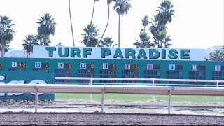 Turf Paradise Reopens [upl. by Burd]