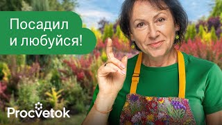 8 РОСКОШНЫХ КУСТАРНИКОВ КОТОРЫМ ВООБЩЕ НЕ НУЖЕН УХОД [upl. by Nonna]