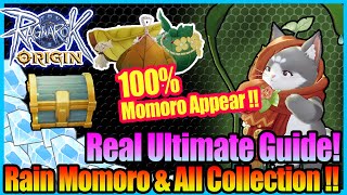 Real 100 Rain Momoro  All Treasure amp Chest Detailed Guide with Map Ragnarok Origin Global [upl. by Pain]