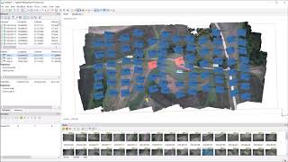 TUTORIAL Agisoft Metashape  orthophoto and DSM generation with GCPs [upl. by Feeley842]