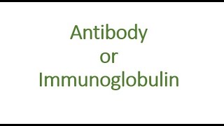 ANTIBODYIMMUNOGLOBULINS MALAYALAM [upl. by Ahscrop]