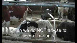 Wilson Ag Rail Mounted cow cubicles [upl. by Noterb]