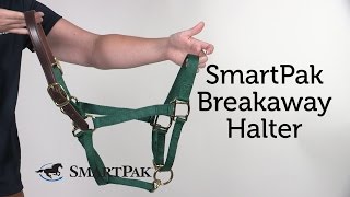 SmartPak Breakaway Halter Review [upl. by Hada]