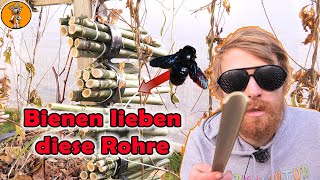 Kostenlos Nisthilfe für Wildbienen bauen [upl. by Lethia]