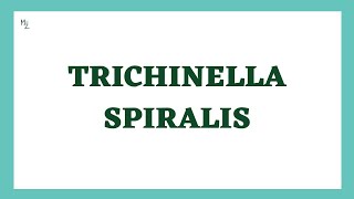 Trichinella spiralis Life Cycle  TrichinellosisTrichinosis  Trichna Worm Infection  Parasitology [upl. by Dall280]