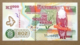 1000 Zambian Kwacha Banknote Thousand Kwacha Zambia 2003 Obverse amp Reverse [upl. by Rahas]