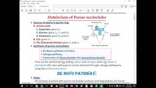 Purine Metabolism  Ettaweel Book [upl. by Druce86]