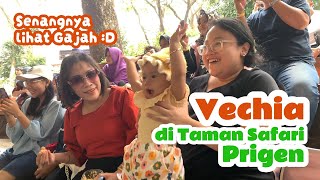 Taman Safari Prigen  Vechia Vlog [upl. by Alvina]