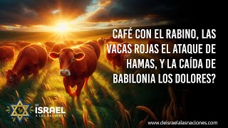 Café con el Rabino las Vacas Rojas el ataque de Hamas y la caída de Babilonia los dolores [upl. by Yob970]