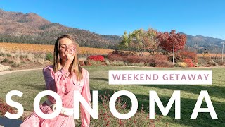 SONOMA CALIFORNIA WINE TASTING WEEKEND GETAWAY 2020 Travel Guide Best Wineries amp Airbnb Stay [upl. by Ytteb762]