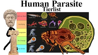 Human Parasite Tierlist [upl. by Nairam]