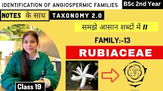 Rubiaceae Family ☕ Floral diagram and formulas  Taxonomy  Economic importance [upl. by Anera]