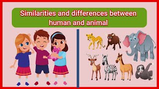 Similarities and differences between human and animal Comparison of human and animal [upl. by Oirromed]