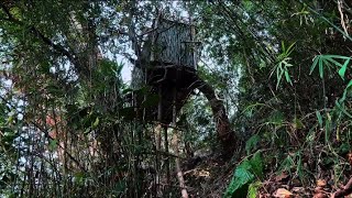 building a tree house in the forest [upl. by Omidyar]