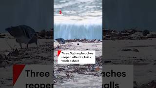 Bondi Bronte and Tamarama beaches reopen after black tar balls wash ashore [upl. by Oderf]