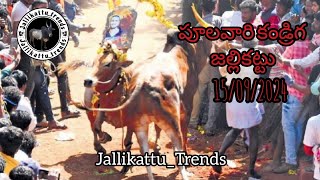 Jallikattu 2024  Poolavaari kandriga  full video bull bullukatu ytchittoorjallikattu bulldogs [upl. by Acinnej348]