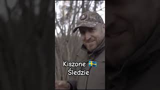 Kiszone Szwedzkie śledzie [upl. by Eissac]