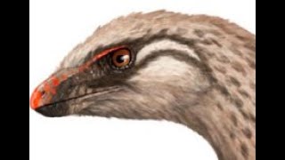 Lesothosaurus Fleet footed Ornithischian from Early Jurassic Southern Africa [upl. by Verdie]