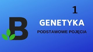 GENETYKA podstawowe pojęcia  GENOM genotyp ALLEL chromosom  KOREPETYCJE z BIOLOGII  186 [upl. by Louth]