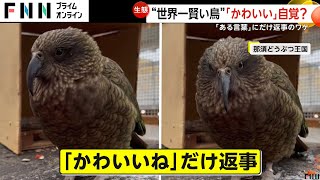 「かわいいね」と言われた時だけ返事する鳥！“世界一賢い”ミヤマオウムが人気 那須どうぶつ王国 [upl. by Schuh]