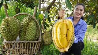 Durian fruit season  Have you ever harvested durian fruit and cooked   Countryside life TV [upl. by Puttergill387]