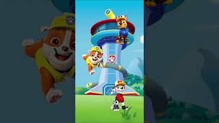 Paw Patrol  Chase 🆚 Rubble 🆚 Marshall Funny Video 🛑 [upl. by Lamprey94]