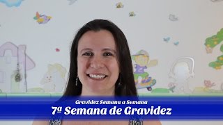 7ª Semana de gravidez [upl. by Gearhart]