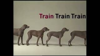 Sesame Street  Wegman’s Dogs T for Train [upl. by Adnylam]