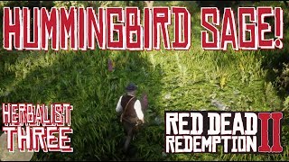 Hummingbird Sage Locations Red Dead Redemption 2 [upl. by Mirak]