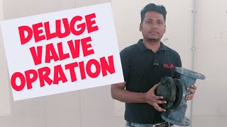 DELUGE VALVE KAISE KAM KARTA HAI  HOW DOES WORK DELUGE VALVE [upl. by Allveta280]