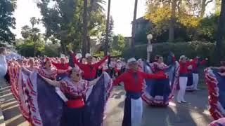 Banda Municipal de ZarceroRose Parade 2020 [upl. by Lleuqar]