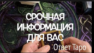 Что Вы видите Чего не замечаете Информация для ВасОТВЕТ ТАРО [upl. by Merry]