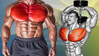 How to Get a Bigger Chest Fast 6 Exercise [upl. by Kidder]