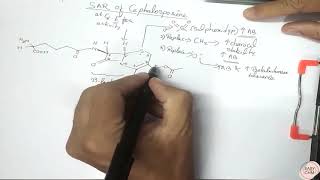 SAR of Cephalosporin part 1 [upl. by Bomke]