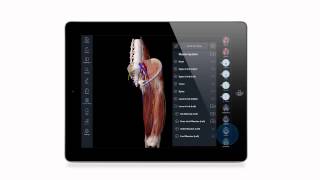 Introducing Essential Anatomy 3 [upl. by Attekal]