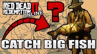 Where To Find How To Catch Big Game Fish 1 Cat Fish Red Dead Redemption 2 Online [upl. by Kung]