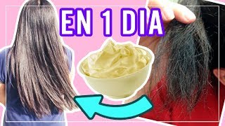 TRATAMIENTO CASERO PARA EL CABELLO MALTRATADO RESTAURA Y ALISARLO BOTOX CAPILAR l Kariniwiii [upl. by Keisling269]