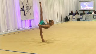 Vitry Stars Cup 2018 Rhythmic Gymnastics  Level 7 Floor [upl. by Eseuqcaj]